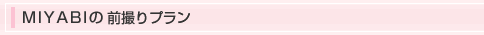 MIYABI�̑O�B��v����